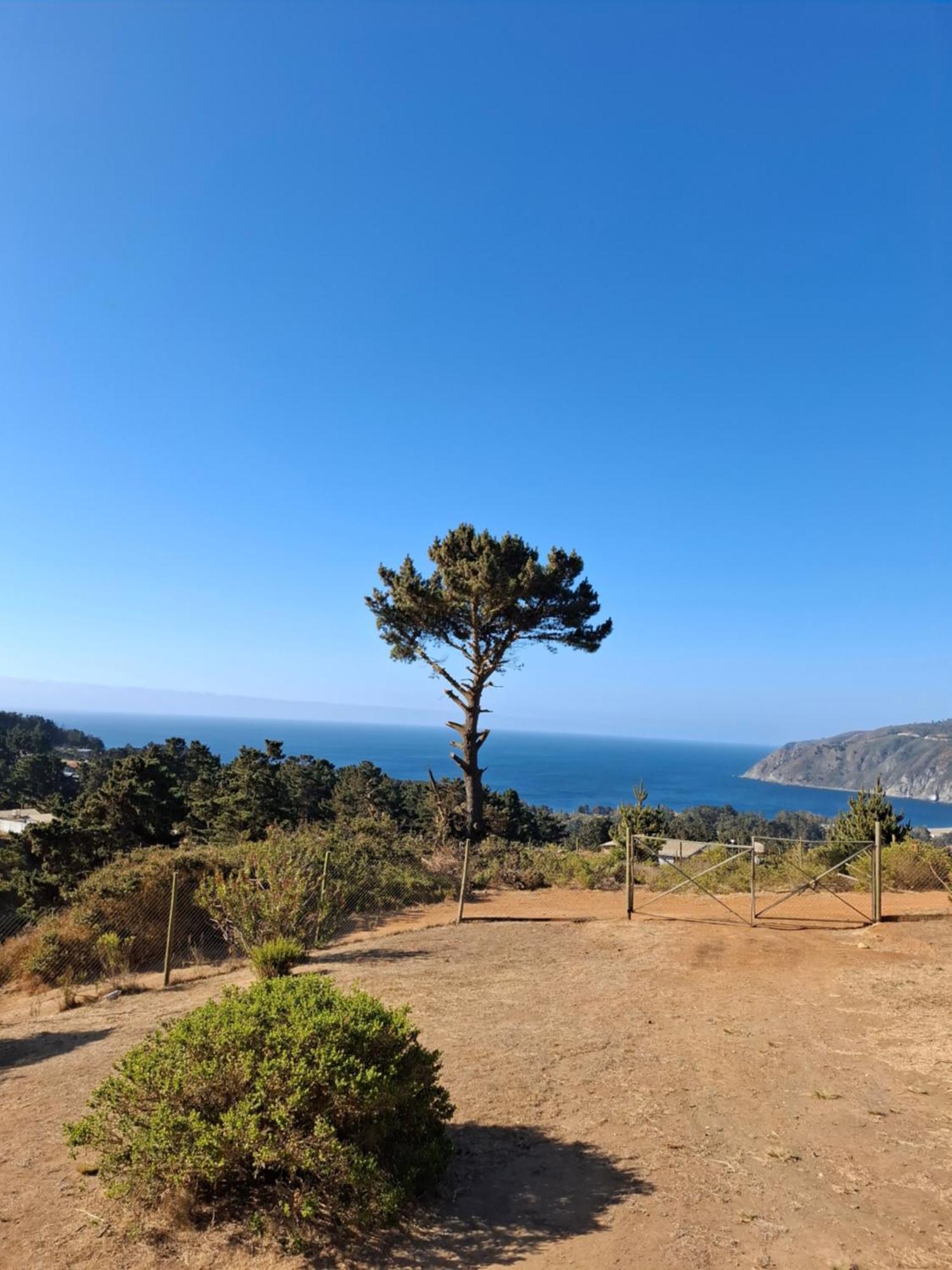 Mi Paraiso
